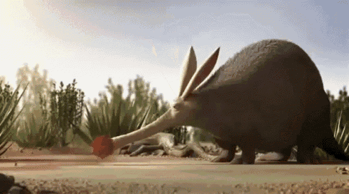 a rabbit with a long nose is eating a red ball