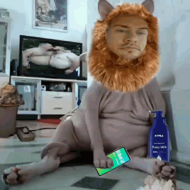 a cat with a lion 's mane and a bottle of nivea body milk on the floor