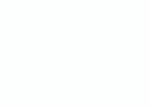 the word torneo is on the white background