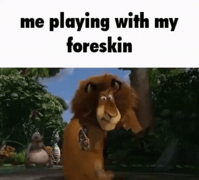 a picture of a lion with the words me playing with my foreskin below it