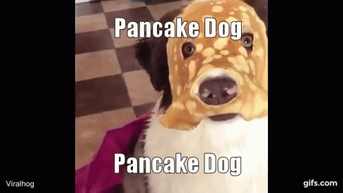 Pancake Dog GIF - Pancake Dog GIFs
