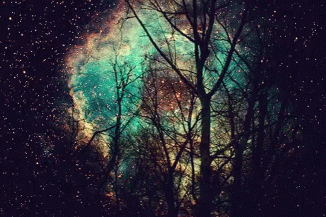 Galaxy Sky GIF - Galaxy Sky Trees GIFs