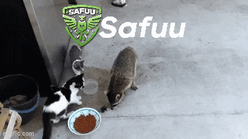 a group of cats and a raccoon are eating from a bowl with a logo for safuu on top
