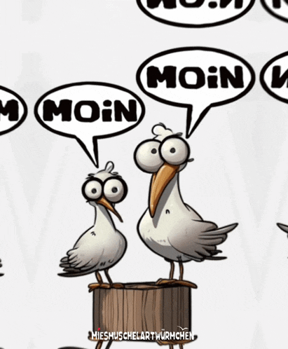 two seagulls are standing next to each other with speech bubbles that say " moin "