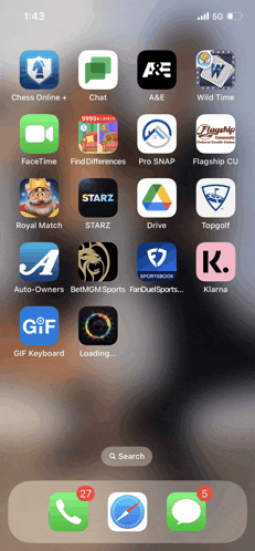 a screenshot of a phone screen showing the icons for chess online chat and starz