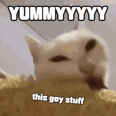 a picture of a cat with the words yummyyyy this gay stuff below it