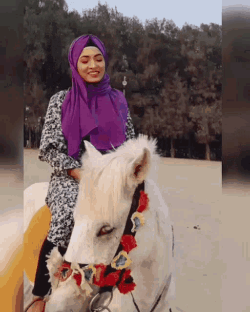 a woman in a purple hijab rides a white horse