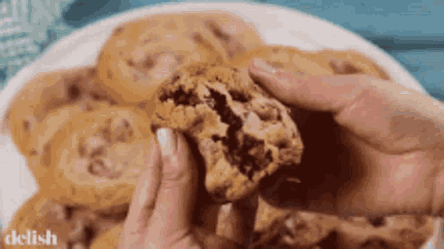 a person is holding a chocolate chip cookie with a bite taken out of it .