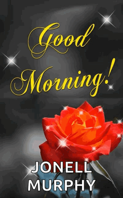 a red rose with the words " good morning jonell murphy " on it