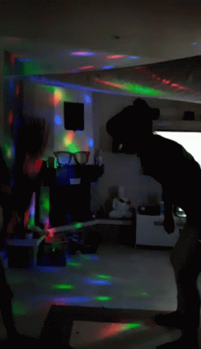 Fugrtv Party GIF - Fugrtv Party Silhouette GIFs