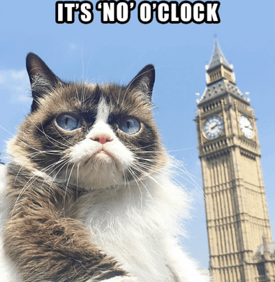 a grumpy cat in front of a big ben clock tower