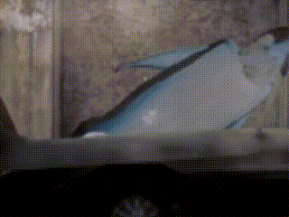 a pixelated image of a car windshield with a few dots on it