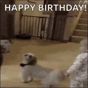 a baby is holding a dog 's leash while a dog runs in front of a staircase .