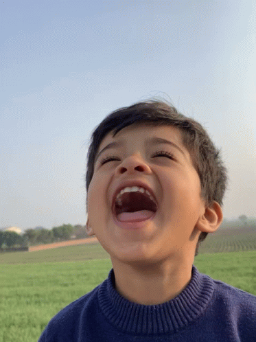 Laughing GIF - Laughing GIFs