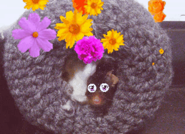 a crocheted donut with purple and yellow flowers on it and a cat in it