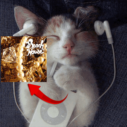 a cat wearing headphones is listening to a song by peach house