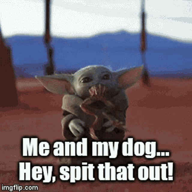 Baby Yoda Hey Spit That Out GIF - Baby Yoda Hey Spit That Out Me And My Dog GIFs