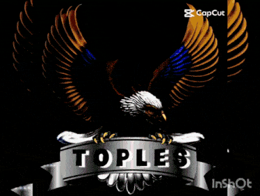 Tooplez1 GIF - Tooplez1 Tooplez GIFs