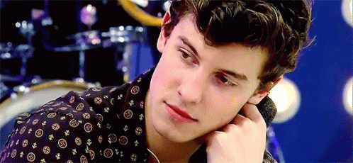 Shawn Mendes Yes GIF - Shawn Mendes Yes Agree GIFs