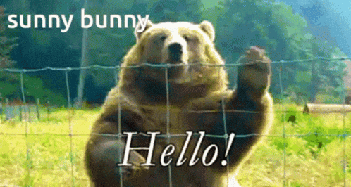 Grizzly Hello GIF - Grizzly Hello Bear GIFs