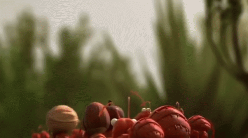 Ants At Attention GIF - Ants Teamwork Travelingroups GIFs