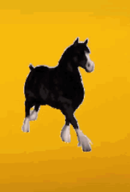 a black and white horse is walking on a yellow background .