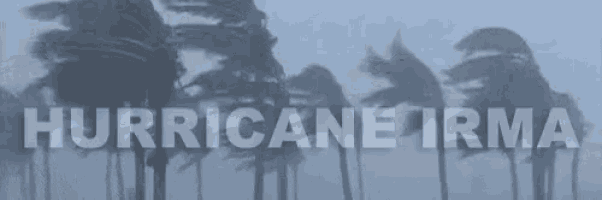 a black and white photo of palm trees blowing in the wind with the words hurricane irma written in white letters