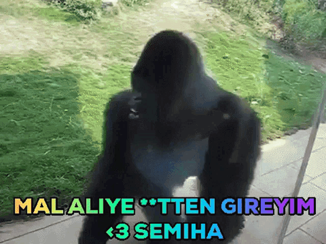 a picture of a gorilla with a caption that says malaliye