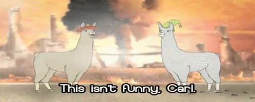 Llamas With Hats Not Funny GIF - Llamas With Hats Not Funny GIFs
