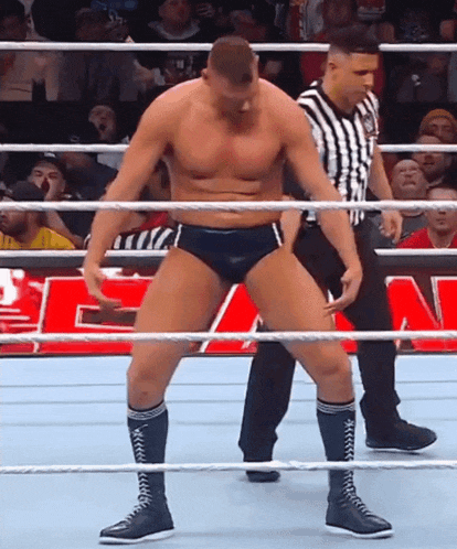 a referee stands behind a wrestler in a ring