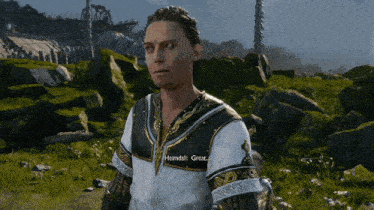 a video game character named holmdal great is standing in the grass