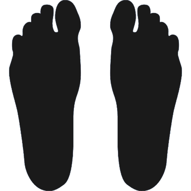 a pair of black feet with blue soles