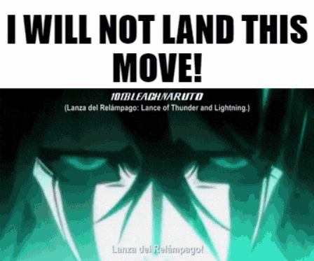 a poster that says i will not land this move on it