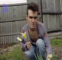 Morrissey Flower GIF - Morrissey Flower Flowers GIFs