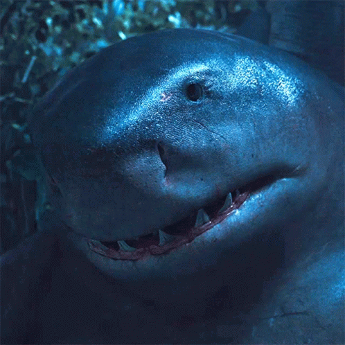Looking At You King Shark GIF - Looking At You King Shark The Suicide Squad GIFs