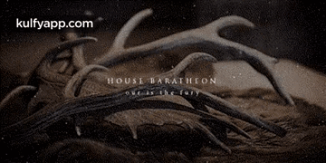 House Baratheon.Gif GIF - House Baratheon Game Of-thrones Hindi GIFs