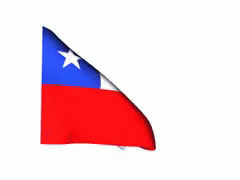 Chilean Flag GIF - Chilean Flag Chile Flag GIFs