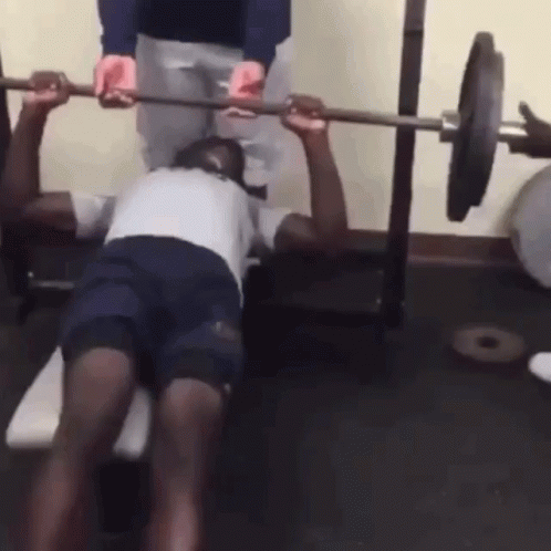 What Are Those Gym GIF - What Are Those Gym Weight Lifting GIFs