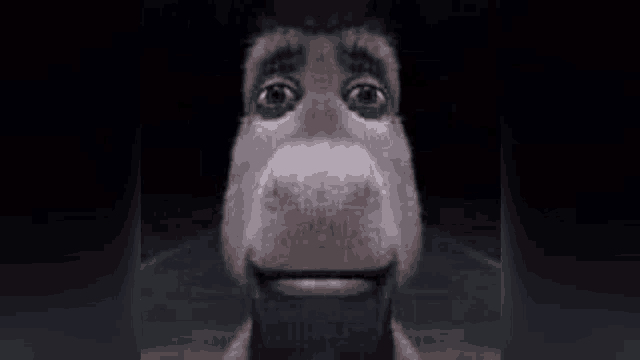 a close up of a donkey 's face with a beard and a mustache .