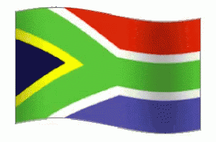 South Africa Flag GIF - South Africa Flag GIFs