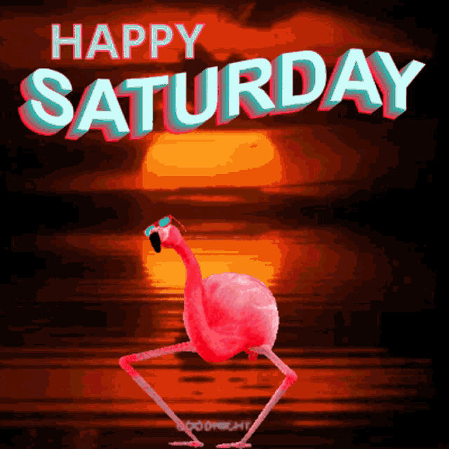 a pink flamingo wearing sunglasses is dancing in front of a happy saturday message
