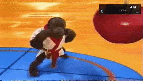 a gorilla in a karate uniform is fighting a red ball on a blue mat .