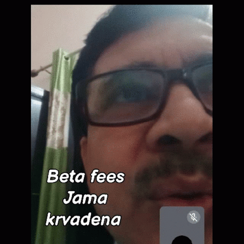 Beta Fees GIF - Beta Fees GIFs