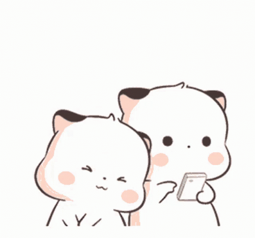 Cute Attention GIF - Cute Attention GIFs
