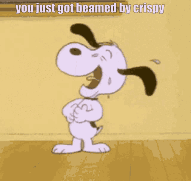 Beamed GIF