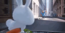Rabbit Jump Snowball GIF - Rabbit Jump Snowball Rabbit GIFs