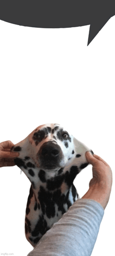 Woof GIF - Woof GIFs