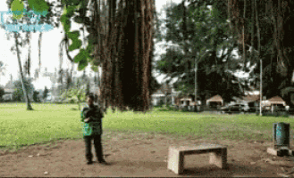 a man stands under a tree in a park