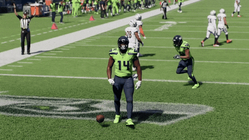 a football player with the number 14 on his jersey stands on the field