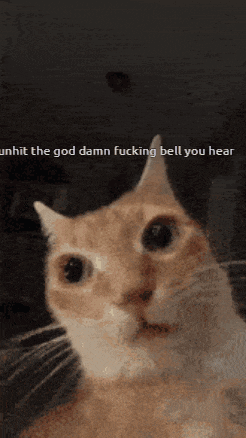 a close up of a cat with the words " unhit the god damn fucking bell you hear " below it